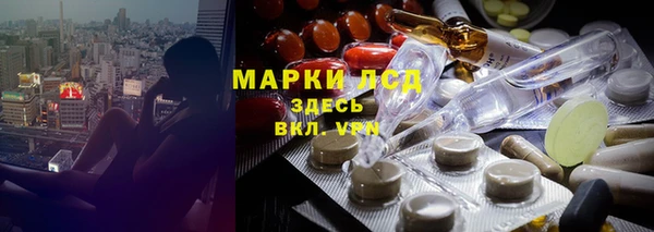 ECSTASY Каменка