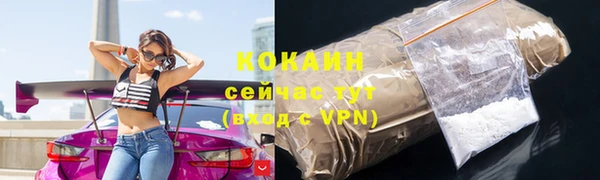 винт Белокуриха